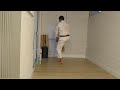 Pinan Yondan Kata Karatê Shorin-Ryu