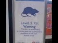 rat warning