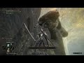 This bear trapped me on a cliff - Elden Ring