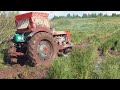 We bet who is better off road! Tractor 4x4 VS truck 4x4 in swamp!!! GAZ-66 vs T-40AM