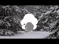 Peaceful Snowfall in the Forest | Relaxing Snowing video for sleep, relaxation and studying | HD