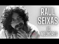 RAUL SEIXAS AS 10 MELHORES SÓ RECORDAÇÕES