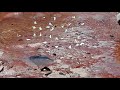 Butterflies feeding on mineral rich rock deposits. Povokvil Waterfall, Bokor Mountain