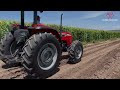 Conoce el tractor MF4300E de la Massey Ferguson