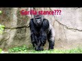 GORILLA STANCE DEADLIFT