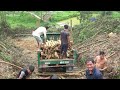 Use Trucks To Transport Rented Lumber From Forest To The Lumberyard - Timber Exploitation