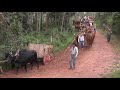 Festa de Carreiros em Jacuí  MG