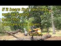 Forestry Mulching Gone Wild Part 1 - Shocking Footage!    #forestrymulching #forestrymulcher