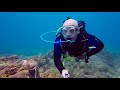 St Thomas Dive March 2019