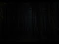 NO ADS Michigan Forest Nighttime Sleep ASMR Dark Screen NO ADS