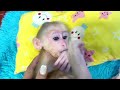 Baby monkey Miker go to the restroom and have bath