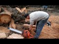 Ported Chainsaws Ripping Firewood vs Stock 281 G660