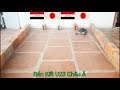 U23 japan vs U23 Iraq Asian U23 2024