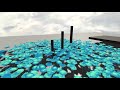 How I used GPU Instancing to render 300k flowers in my game - Indie Devlog #02