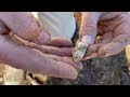 Metal Detecting a Civil War Battlefield