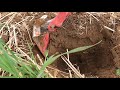 Metal Detecting An Old Limestone Spring Homesite