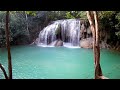 Relaxing Waterfall Sounds With Beautiful Nature 💦 Waterfall HD #waterfall #waterfalls