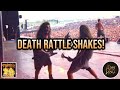 Pantera - Death Rattle (Lyrics on Screen Video 🎤🎶🎸🥁)