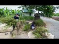 Volunteers clean up overgrown weeds along the walkway corridor of the apartment complex