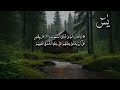 surah yaseen beautiful voice heart touching with urdu translation