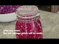 Red Cabbage Pickle Recipe | Quick, Easy & Delicious!