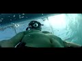 freeDiving with Whale Sharks - more H2O (Daniel W.)