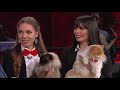 The AMAZING Acrobatic Savitsky Cats Perform | Huckabee