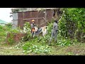 Our neighbors were astonished to see us clearing the overgrown sidewalk and garden