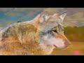 Native American Indian Flute - HEALING MUSIC FOR SPIRIT SOUL HEART - Earth Song Relaxing Sleep Music