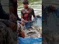 #amazing_fishing #fish #fishing #hand_fishing #viralvideo #boy_fishing #fish_catching_bd #viral