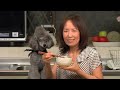 How to Make Tsukemen (Dipping Ramen Noodles Recipe) | Cooking with Dog