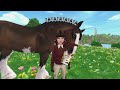 || Spring Auction || New horses || SSO RRP ||