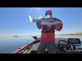 Striper fishing at San Luis Reservoir & O'Neill Forebay 7/20/23