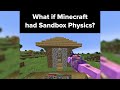 The BEST Minecraft Physics Moments of 2024