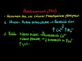 Paratohormona (PTH)