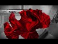 St. Vincent - Flea (Lyric Video)