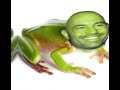 Joe Rogan turns into a frog