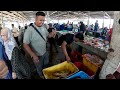 Kota Kinabalu Pasar Ikan Bandaraya Full Tour Terkini🐟Segar & Murah gais👍