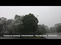 6-3-20 - Derecho Event - Severe Thunderstorm in Springfield, PA