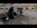 The best way to make a nomadic canopy: paint the beehives:Nomads of iran:beekeeping,rural life