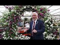 RHS Chelsea Flower Show 2024. Small Space Gardening Ideas