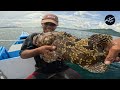Swerte Si Disay Tiba-Tiba Sa Malalaking Grouper. 11,000 Mahigit Ang Kinita | Catch & Sell
