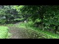 Cool sound of rain that calls you to sleep / Rain sound for insomnia and tinnitus treatment