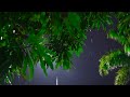 Peaceful Piano Music & Soft Rain Sounds - Relaxing Sleep Music, Stress Relief, Deep Sleeping Music