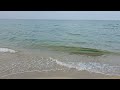 강릉 그리고 태평양(Gangneung and the Pacific Ocean) Video by Dr. ClemS