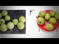 How To Grow Guavas - 3 Delicious Guava Varieties For You!