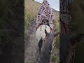 Horseback riding with guide on Volcán Pinchincha near Quito