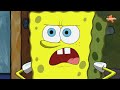 Bob Esponja | Los momentos más DRAMÁTICOS de Perlita | Bob Esponja en Español