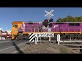 Trains at the Midland Highway/Nunn Street, Benalla Level Crossing; new E-Bell