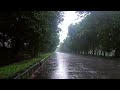 fall asleep quickly 99% - listen to the sound of heavy rain, rain sounds for sleeping